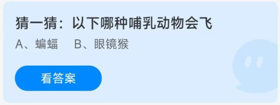 蚂蚁庄园12月27日：以下哪种哺乳动物会飞