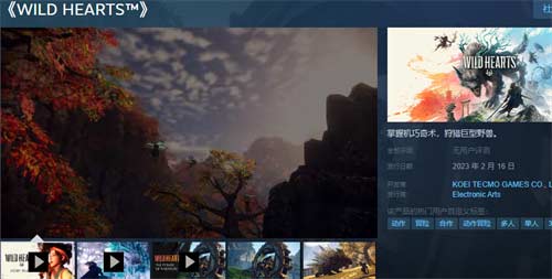 狂野之心在steam上叫什么名字