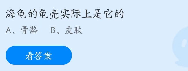 蚂蚁庄园3月2日：海龟的龟壳实际上是它的