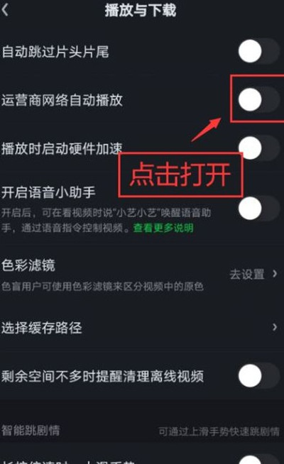 爱奇艺数据网络自动播放视频功能怎么打开