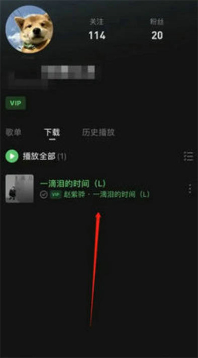 汽水音乐下载的歌曲在哪里查看