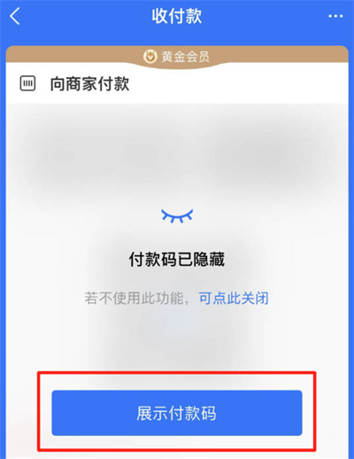 支付宝怎么设置自动隐藏收付款码