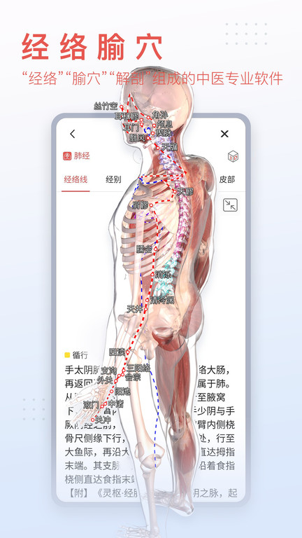 3dbody解剖图手机 V8.7.22