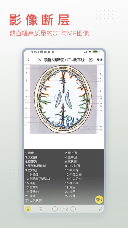 3dbody解剖图手机 V8.7.22