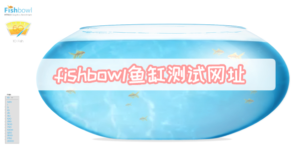 fishbowl鱼缸测试网址