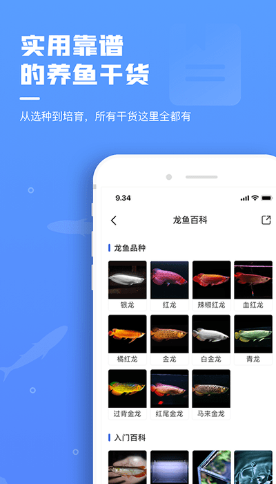 鲲天下app V2.3.0