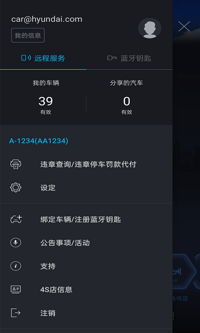 bluelink手机app V3.10